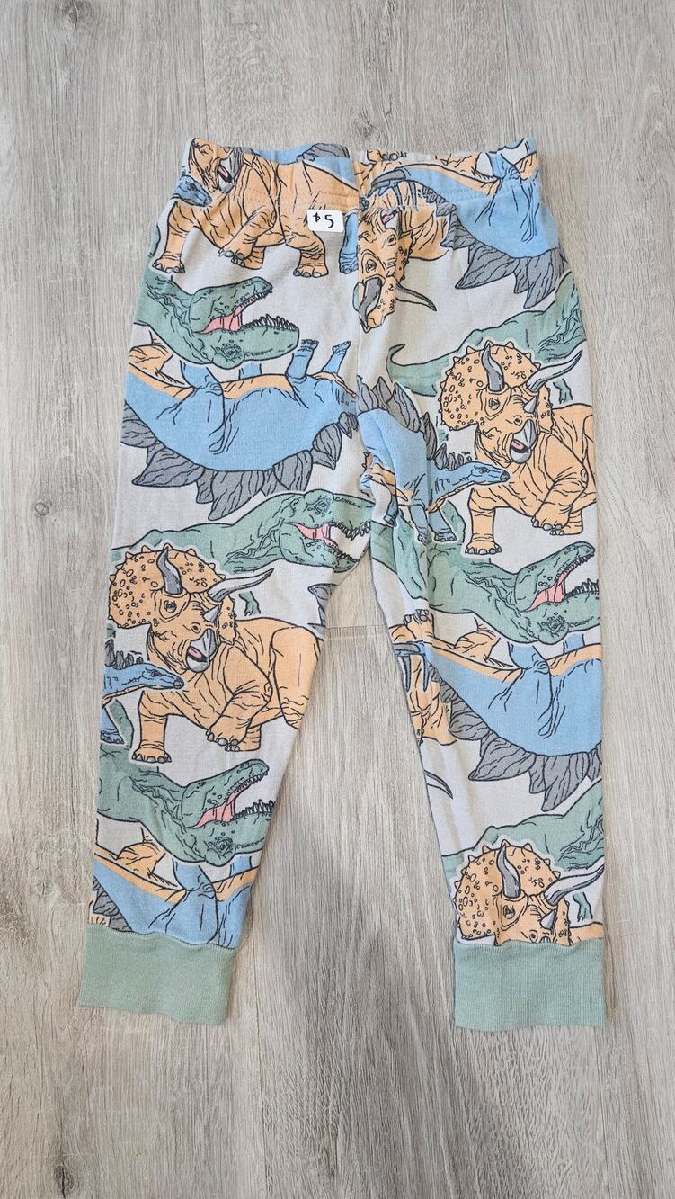 Toddler Size 4T Toddler Clothes Dinosaur pants